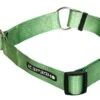 Icepeak Pet Winner Slip Collar Green -Winkel Voor Wandeluitrusting 37287 icepeak pet winner slip collar green