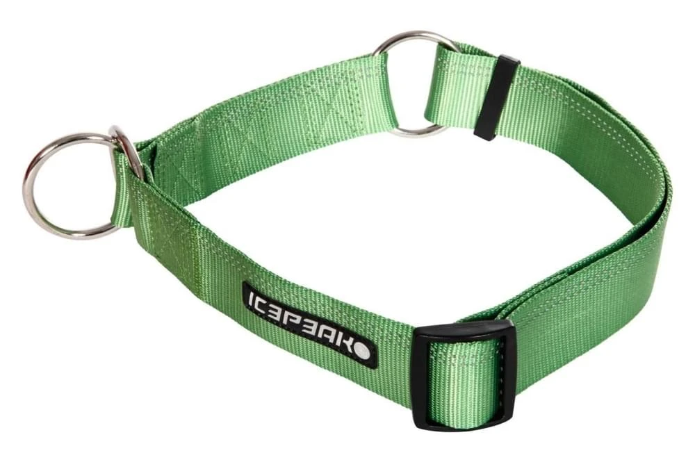 Icepeak Pet Winner Slip Collar Green 3 Icepeak Pet Winner Slip Collar Green
