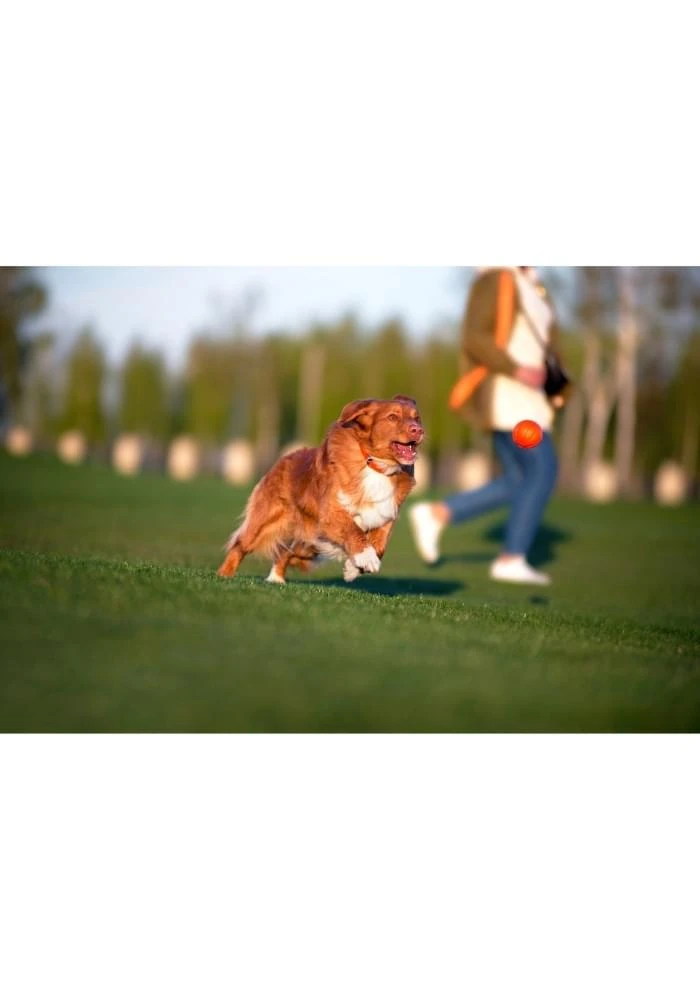 Icepeak Pet Liker Ball Toy 4 Icepeak Pet Liker Ball Toy - Afbeelding 2