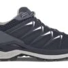 Lowa Innox Pro GTX Lo Wandelschoen Heren Blauw