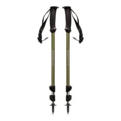 Black Diamond Trail Explorer Trekking Wandelstokken Groen